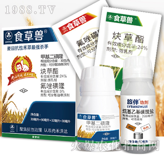 ʳ�ݫF�M��-�к����_(d��)