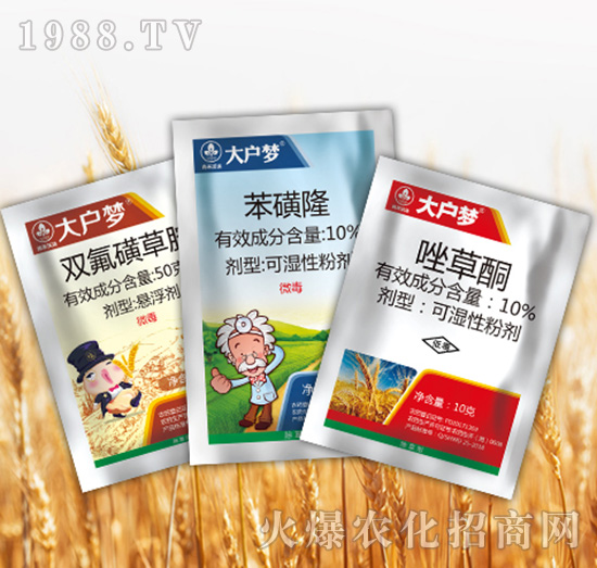 ����3�M��-�к����_(d��)