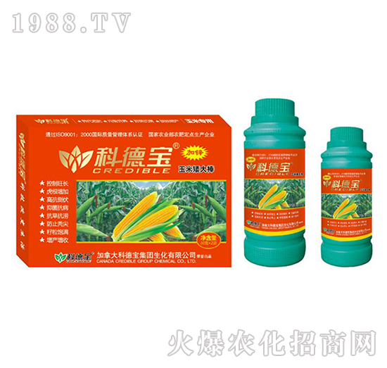 ���׌��àI�B(y��ng)���a(ch��n)���؄�-���װ����-�Ƶ�