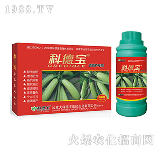 �Ƶ�-�����J����