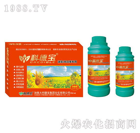 �Ͳ������տ���(zhu��n)�àI(y��ng)�B(y��ng)���a(ch��n)�{(di��o)�턩-�Ƶ�