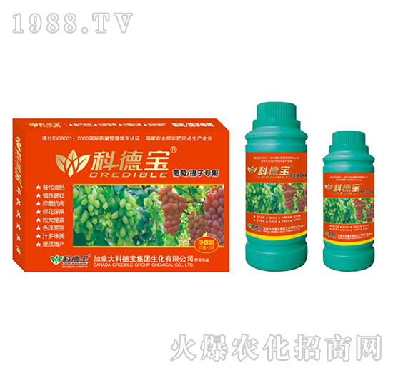 ���������ӌ��àI(y��ng)�B(y��ng)���a(ch��n)�{(di��o)�턩-�Ƶ�