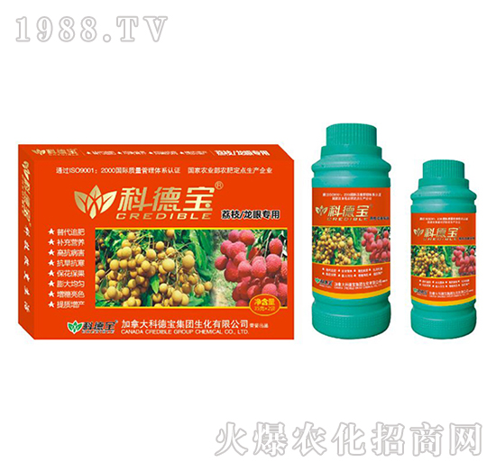 ��֦�����ی��àI�B(y��ng)���a(ch��n)�{(di��o)�턩-�Ƶ�