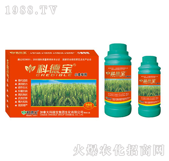 С�����àI�B(y��ng)���a(ch��n)�{(di��o)�턩-�Ƶ�