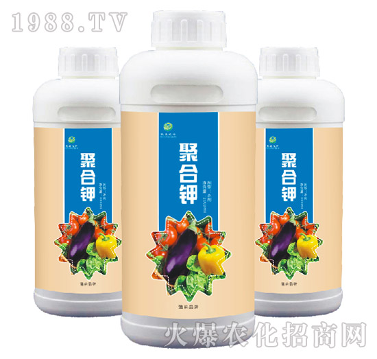 �ۺ��-��ɭ�r��