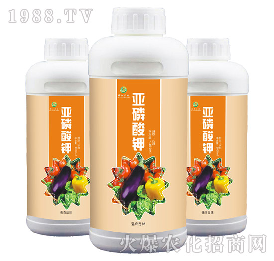 �������-��(qi��ng)ɭ�r(n��ng)��