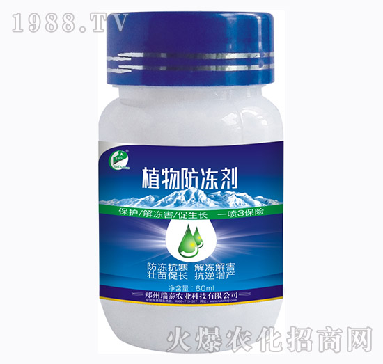 ֲ�������-��̩���