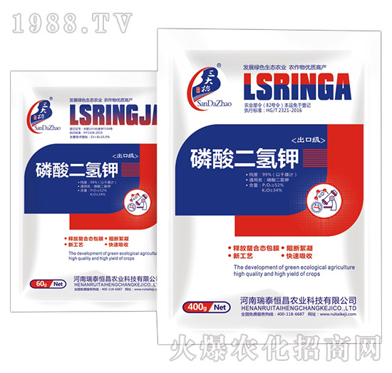 ��������-��̩���