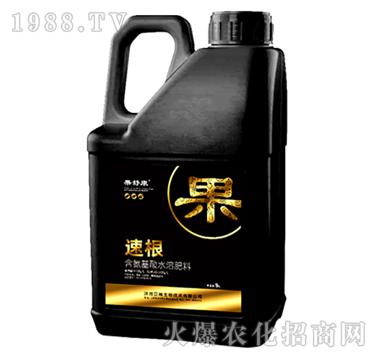 �ٸ�-�����