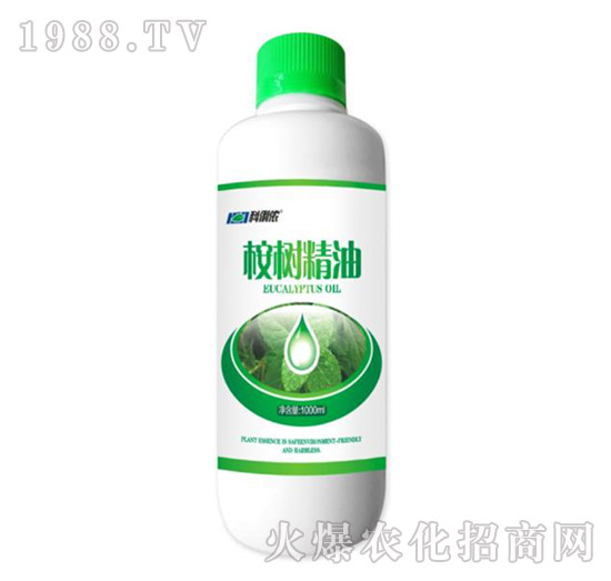 ���(sh��)����-�����r(n��ng)