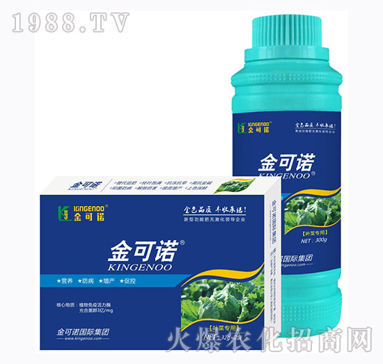 �~�ˌ���-����Z