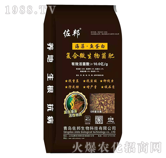 �ͺ�΢�������-����