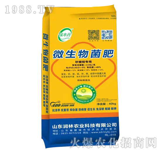 ɰ�ǽی���΢�������-���S��-�����r(n��ng)�I(y��)