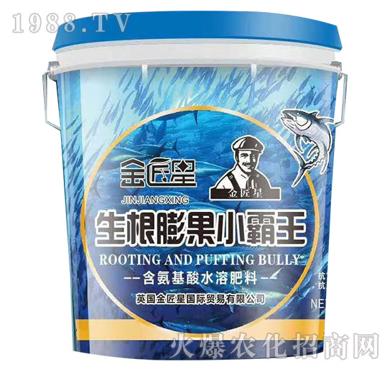 �������С����-����