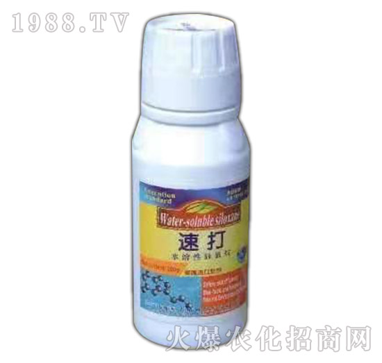 �߿������x(ch��ng)�wʭ���(l��i)���Y(ji��)��(xi��n)�x(ch��ng)��Ч-�ٴ�