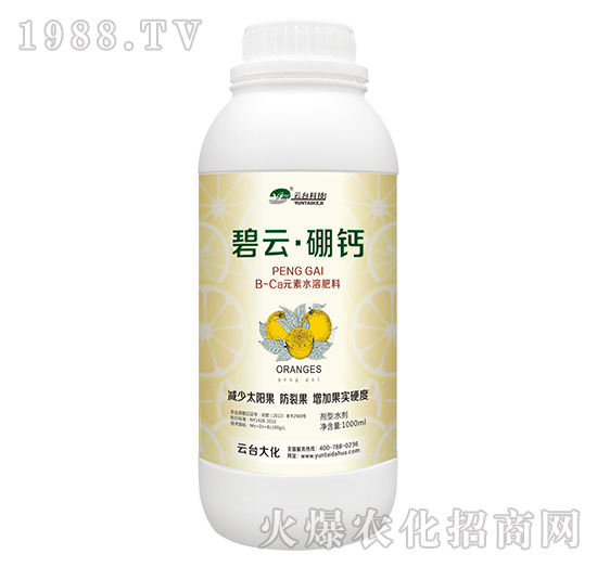 ���ơ����}-���_��