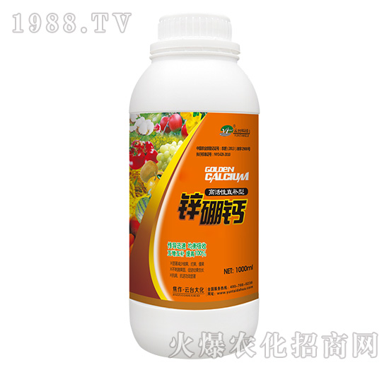 �߻���ֱ�a(b��)���\���}-���_��