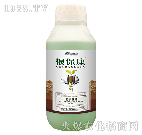 1000g������-���_��