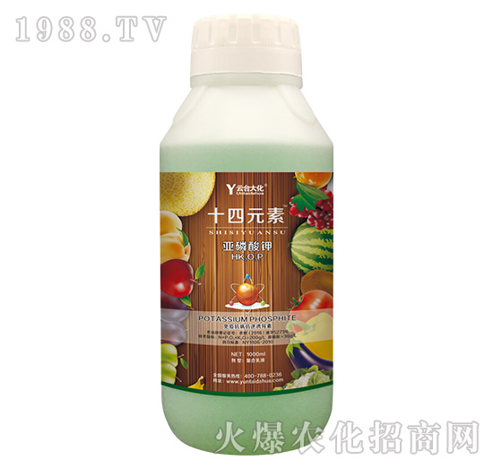 1000gʮ��Ԫ��-���_(t��i)��