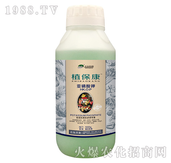 1000gֲ����-���_��