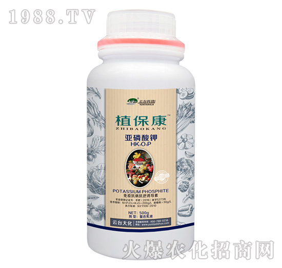 500gֲ����-���_��