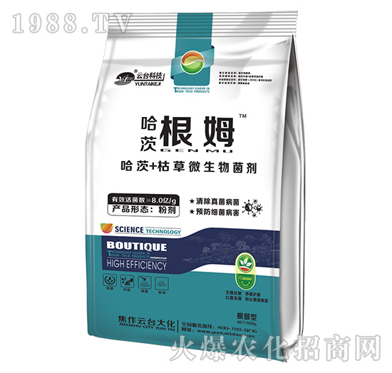 ���ĸ�ķ-���_(t��i)��