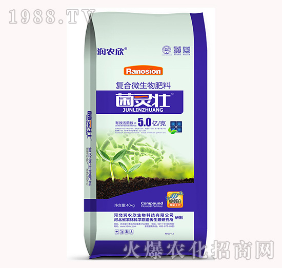 ��(f��)��΢�������-���`��-��(r��n)�r(n��ng)��