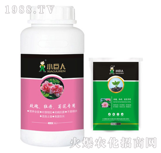 õ����ĵ�����ջ���(zhu��n)���{(di��o)��(ji��)��-С����