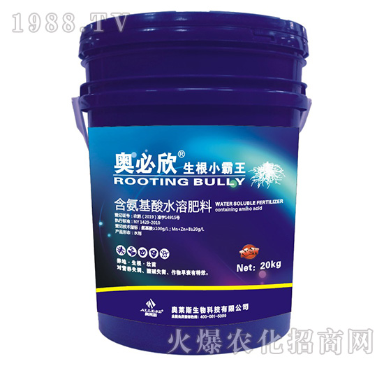 ����С����-�W����-�W�R˹