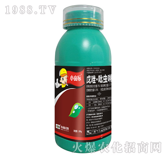 3%�������x��-С����