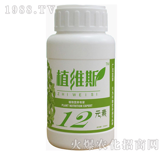 ֲ��I�B(y��ng)����-ֲ�S˹-�{���r��