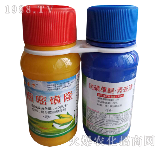 40��ÿ�����׻�¡+25%���ǲ�ͪ��ݬȥ��-�K�ƻ���