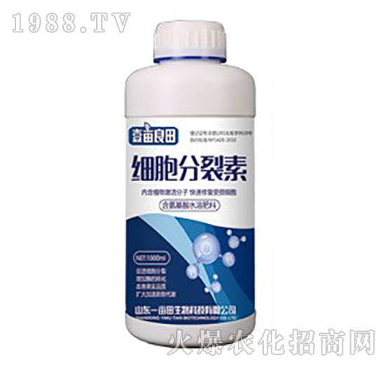 ��(x��)��������-Ҽ������