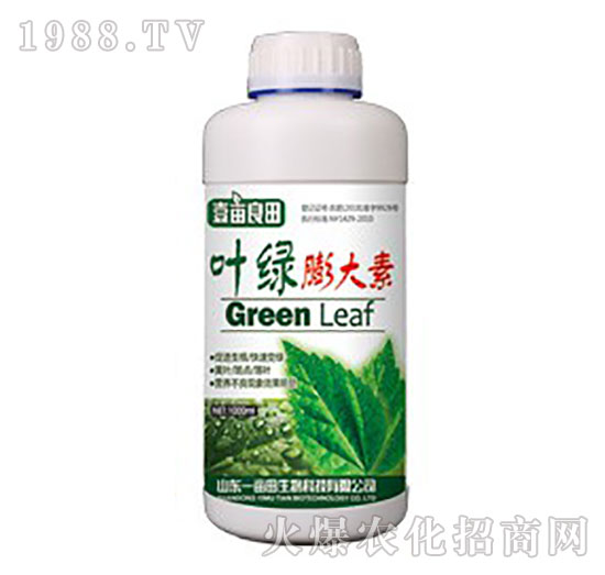 �~�G�����-Ҽ������