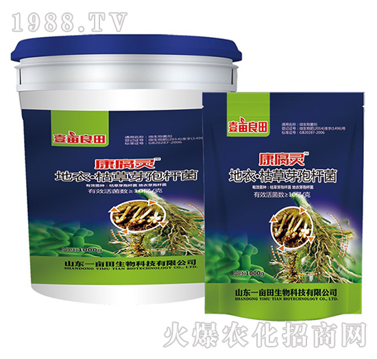 ���¡��ݲ�ѿ�ߗU��-�����`-Ҽ������