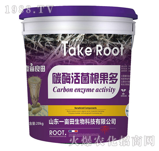 ̼ø���������-Ҽ������