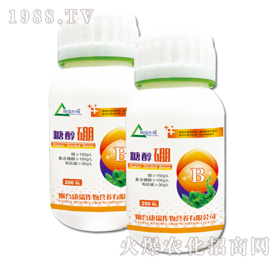 �Ǵ���-��������