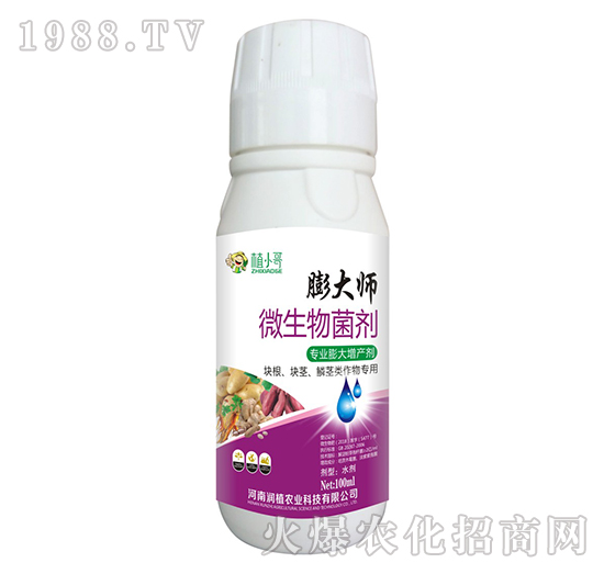 ΢�������-���-ֲС��-��ֲ