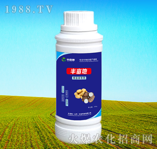 ���o����~���-�뮀��