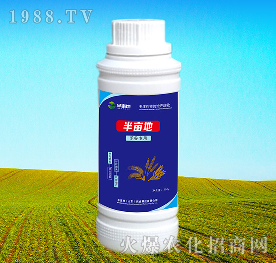 �̹Ȍ����~���-�뮀��