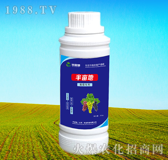 ���ь�(zhu��n)���~���-�뮀��