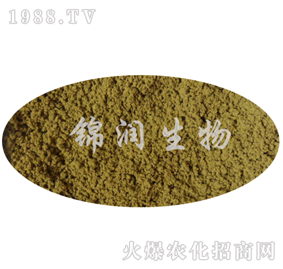 ����ù�P����-�\������