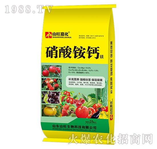 �����@�}�V-ɽ������