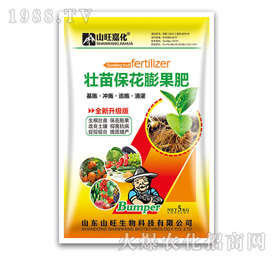 ������������-ɽ������