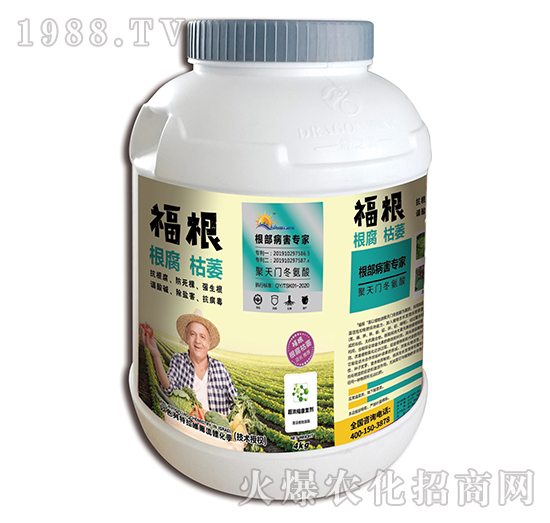 ����-�����S��