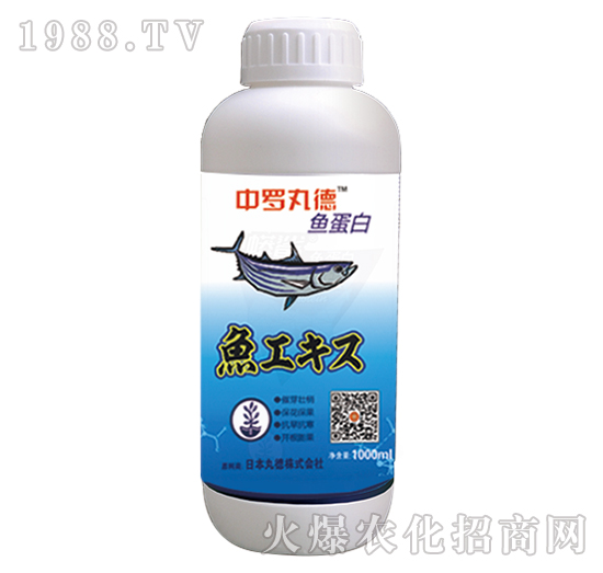 ���_����~(y��)����-���_