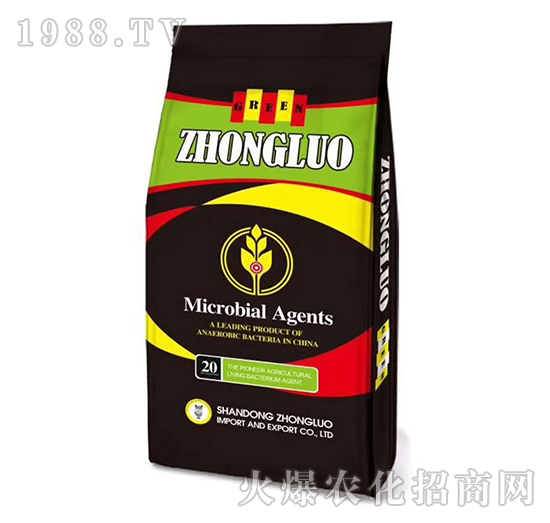 ΢�������-���_����-���_