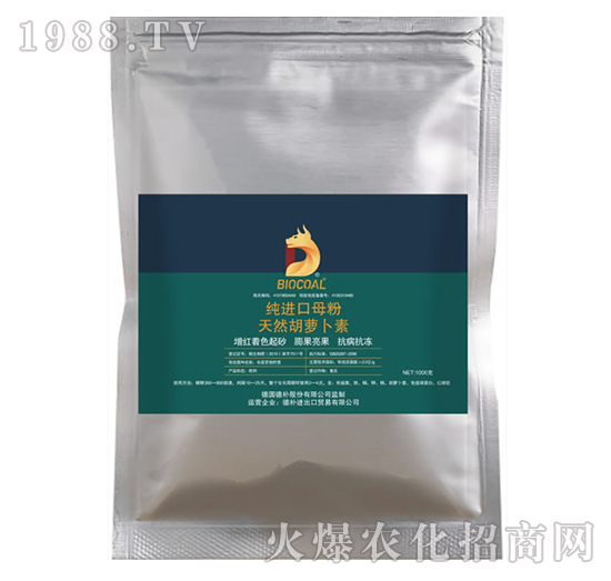 ��Ȼ���}����-��