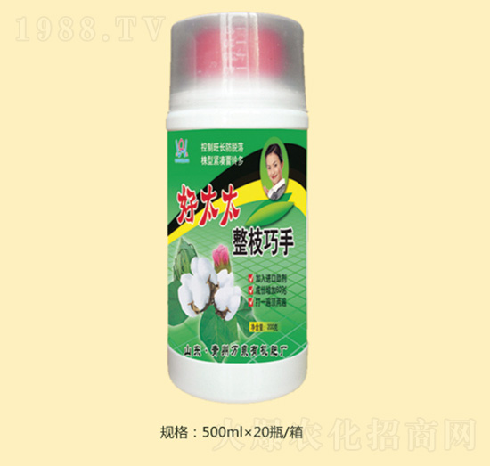 ��̫̫��֦����-�fȪ�r(n��ng)��