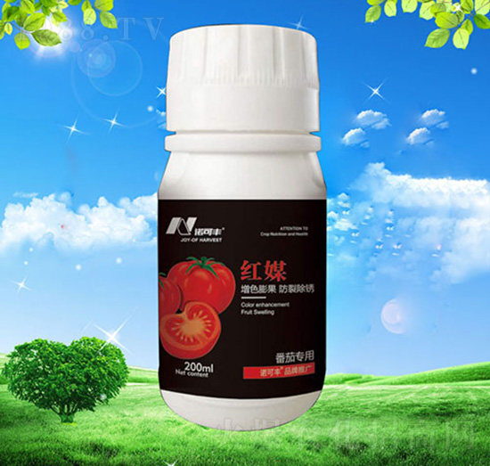 �tý���ь���-�Z���S